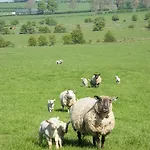Riverfield