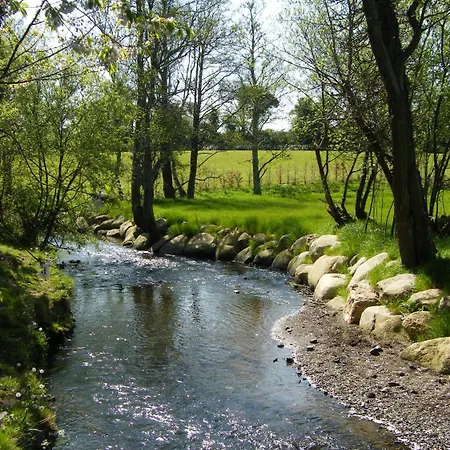 Frühstückspension Riverfield Gorey