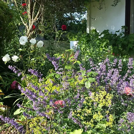 Bed & Breakfast Riverfield 3*