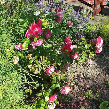 Riverfield Frühstückspension 3*