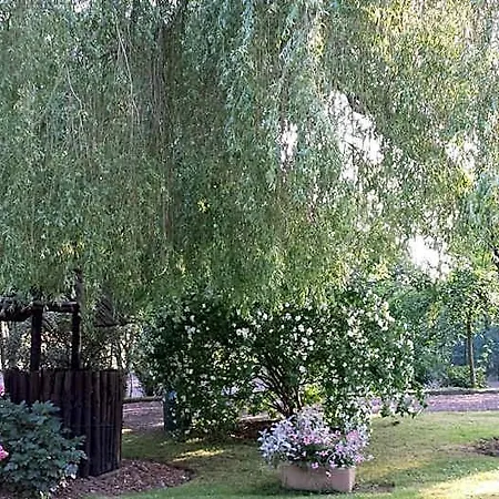 Riverfield Bed and breakfast Gorey
