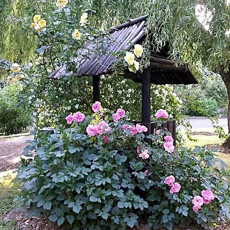 Riverfield Bed and breakfast Gorey