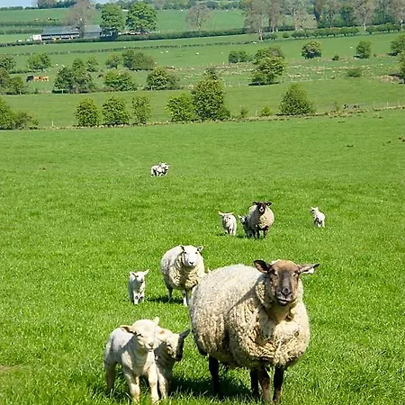 Bed and breakfast Riverfield Gorey