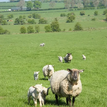 Riverfield Bed And Breakfast