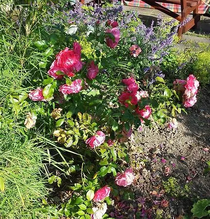 Frühstückspension Riverfield