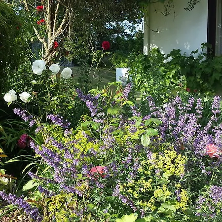 Frühstückspension Riverfield 3*