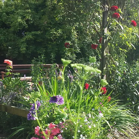 Bed and breakfast Riverfield 3*
