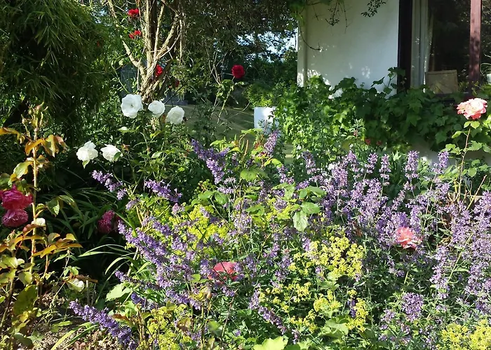 Bed & Breakfast Riverfield Bed And Breakfast 3*