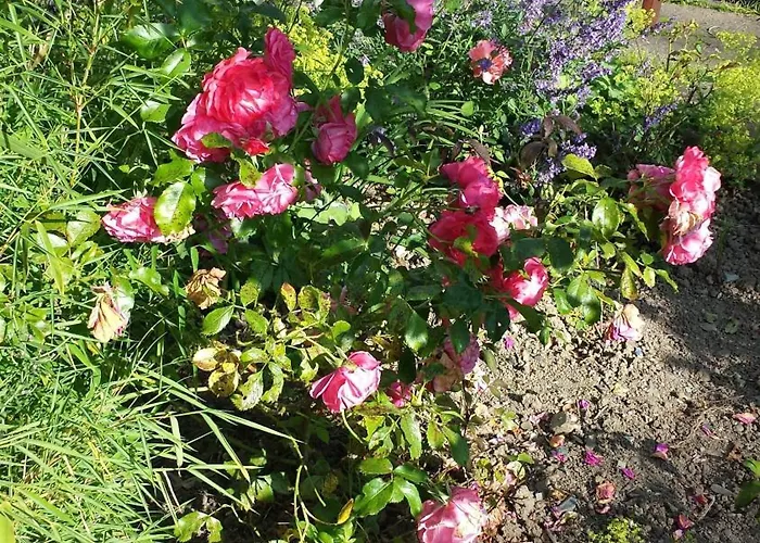 Riverfield Couette-café 3*