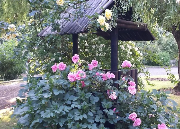 Riverfield Bed And Breakfast Bed & Breakfast Gorey