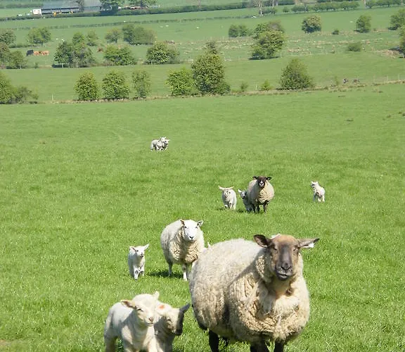 Riverfield Bed And Breakfast