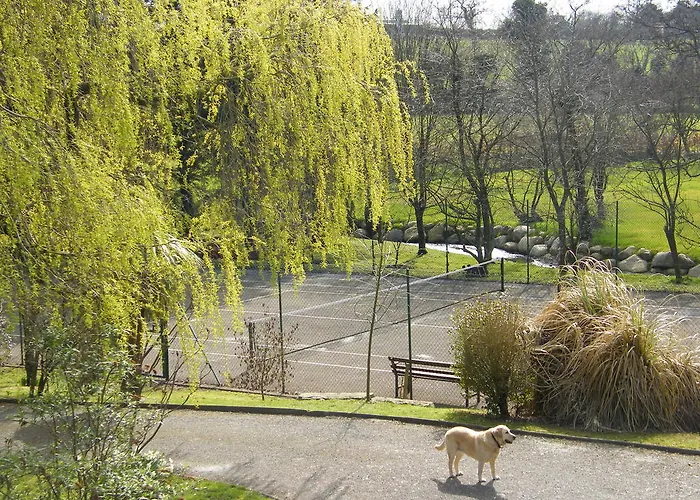 Riverfield Bed And Breakfast Gorey