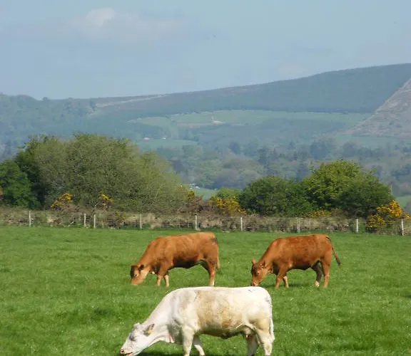 Riverfield Bed And Breakfast