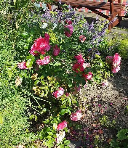 Bed & Breakfast Riverfield Bed And Breakfast