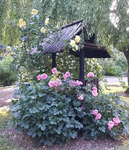 Riverfield Bed And Breakfast Gorey